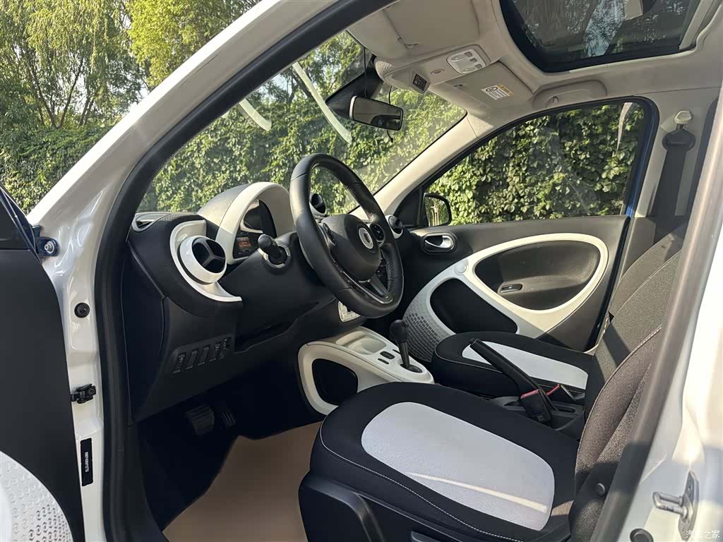 Smart Forfour, 2017 10