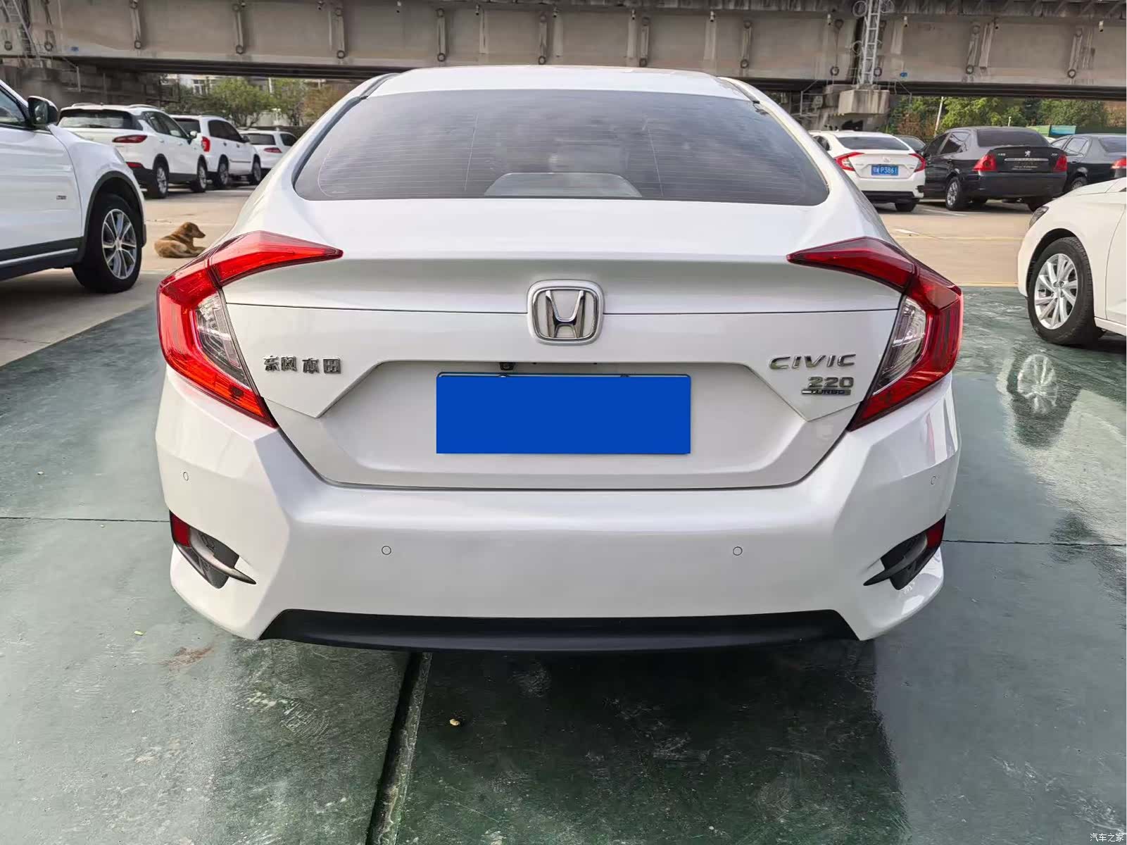 Honda Civic, 2019 14