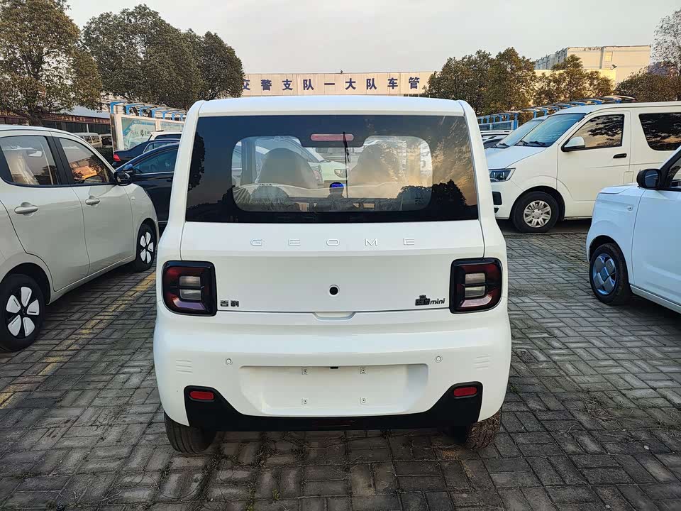 Geely Galaxy panda