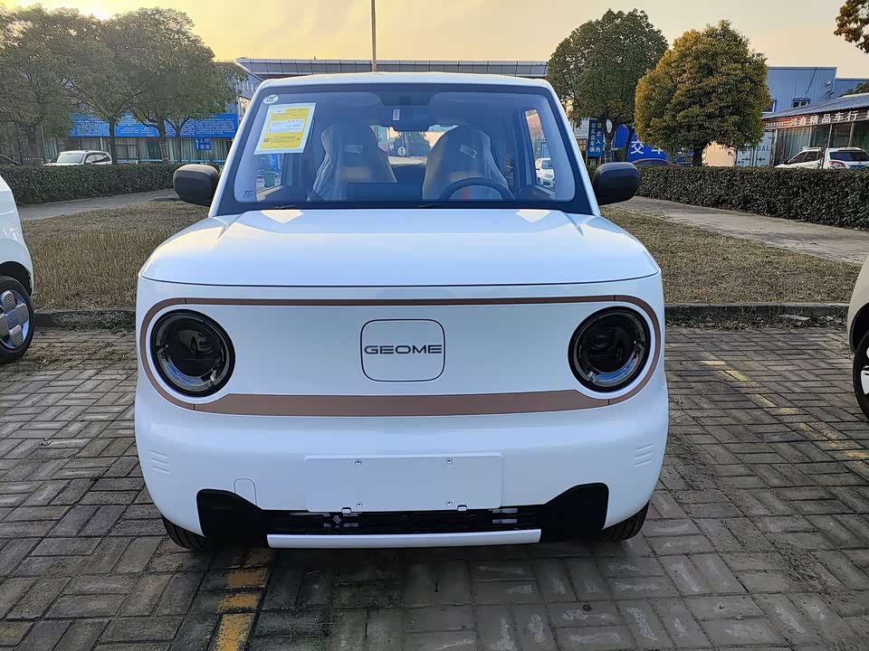 Geely Galaxy panda