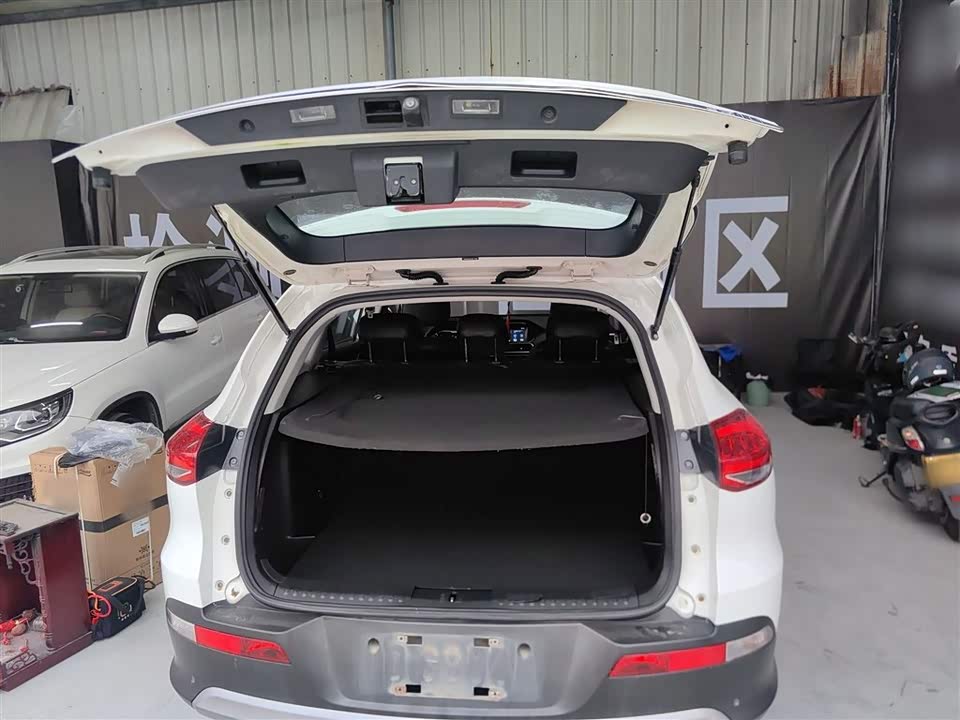 Leopaard Cheetah CS10