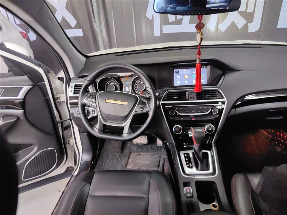 Leopaard Cheetah CS10