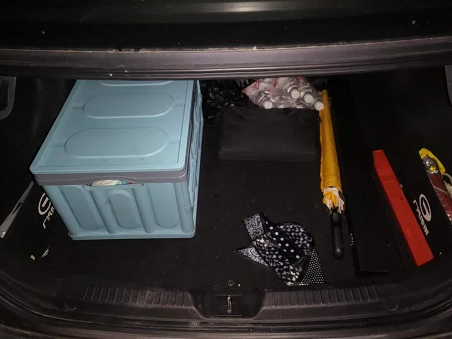 Trumpchi Shadow Leopard