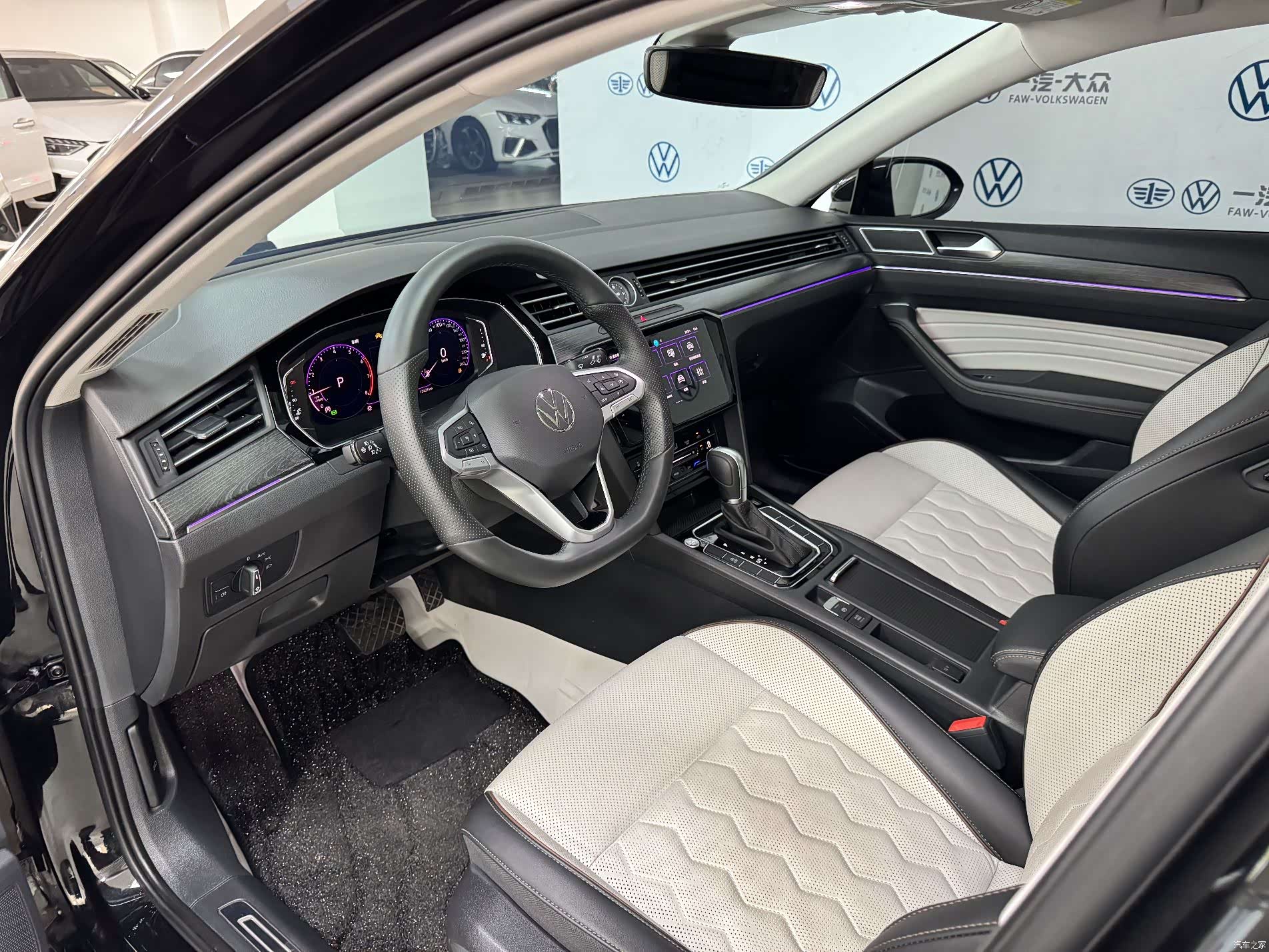 Volkswagen Magotan, 2026 12