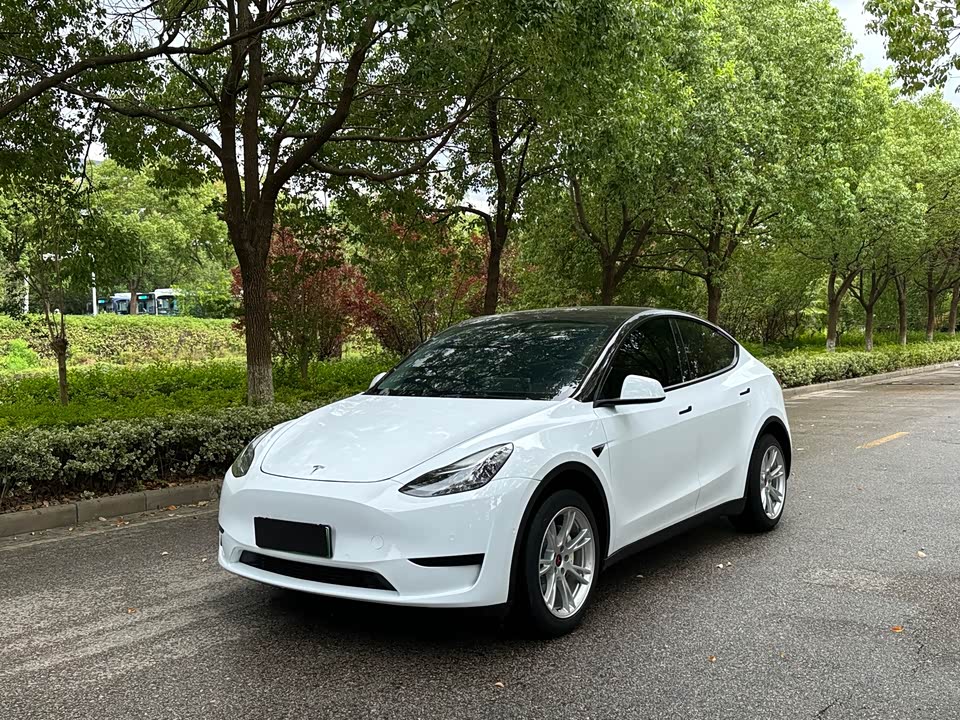Tesla Model Y Tesla Model Y