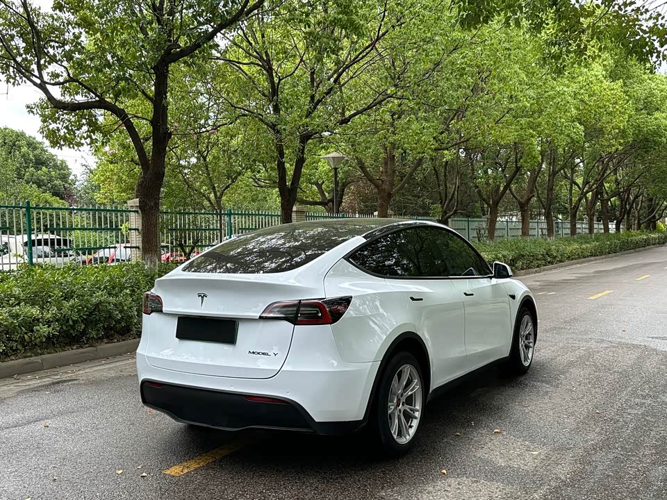 Tesla Model Y Tesla Model Y