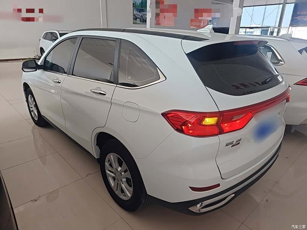 Haval M6, 2024 все фото