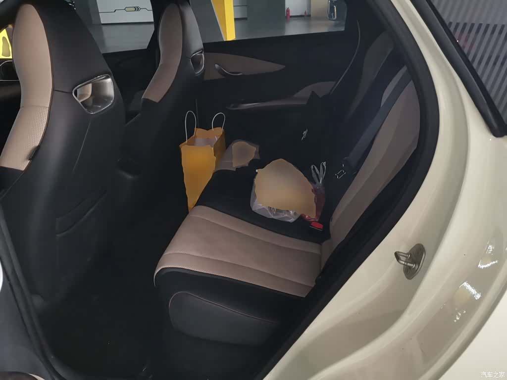 BYD Dolphin, 2023 14