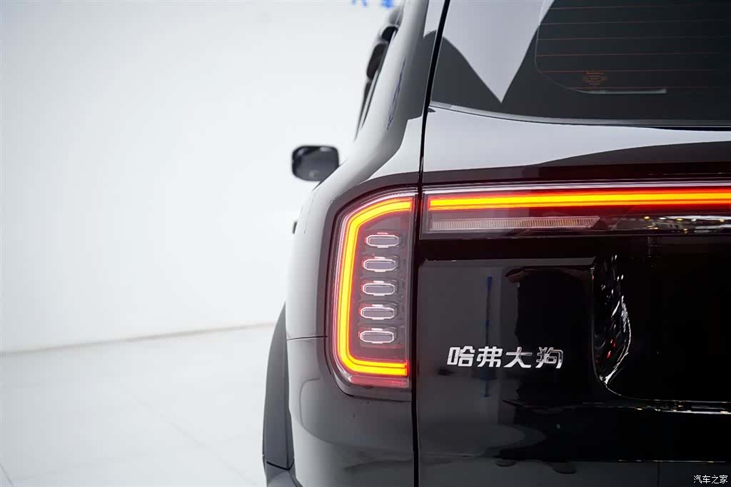 Haval Big Dog, 2025 13