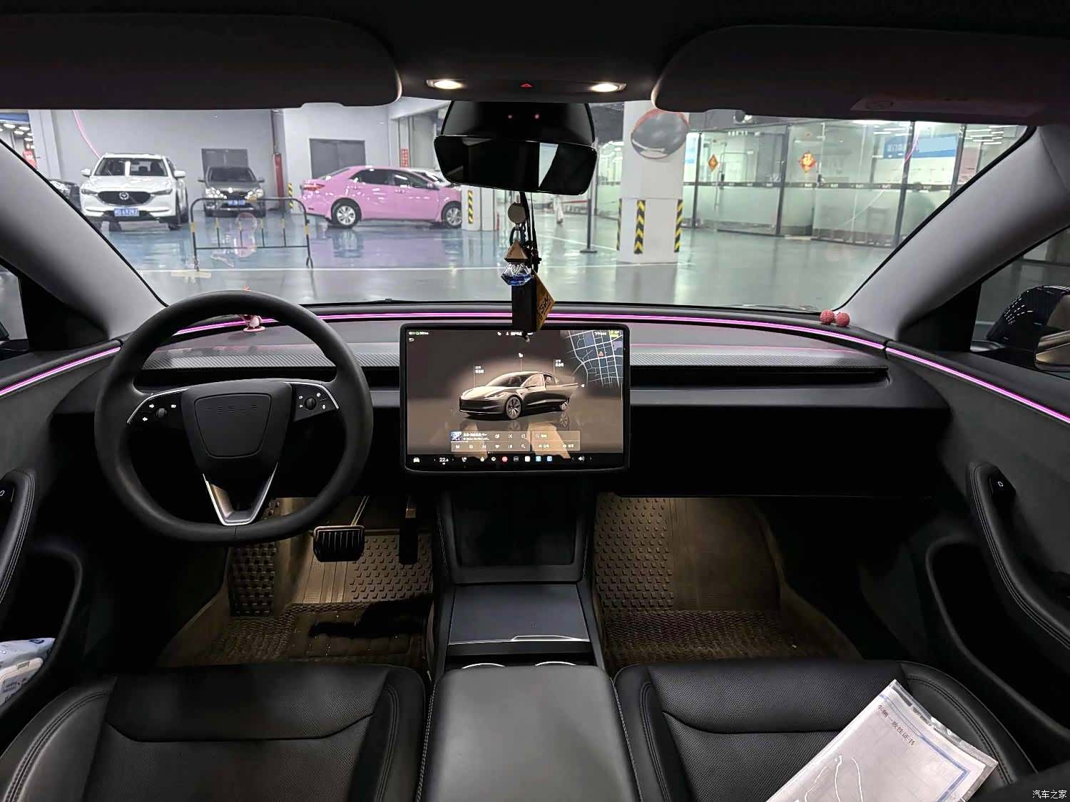 Model 3, 2024 9