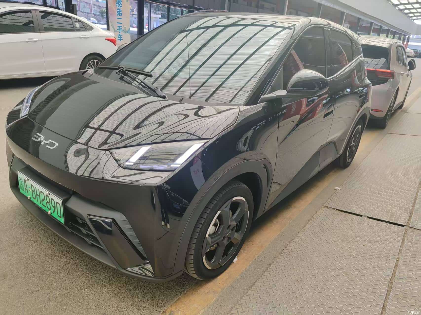 BYD Seagull, 2024 4