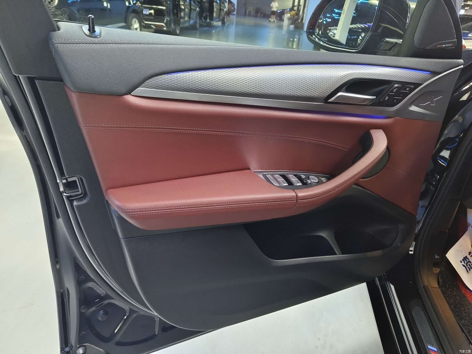 BMW X4, 2020 все фото