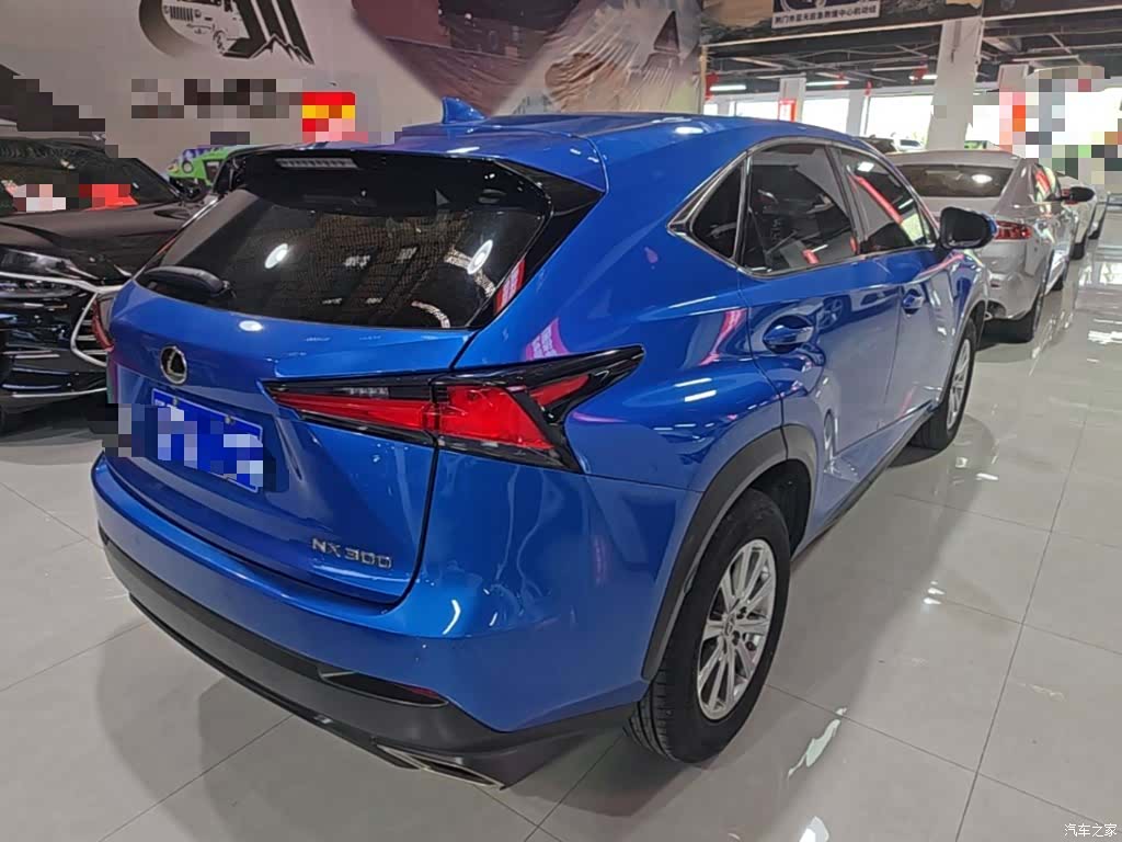 Lexus NX, 2018 7