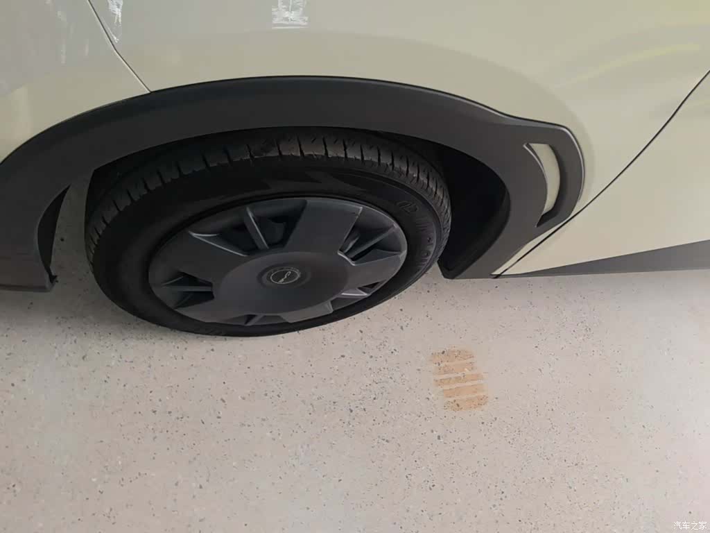 BYD Seagull, 2024 23