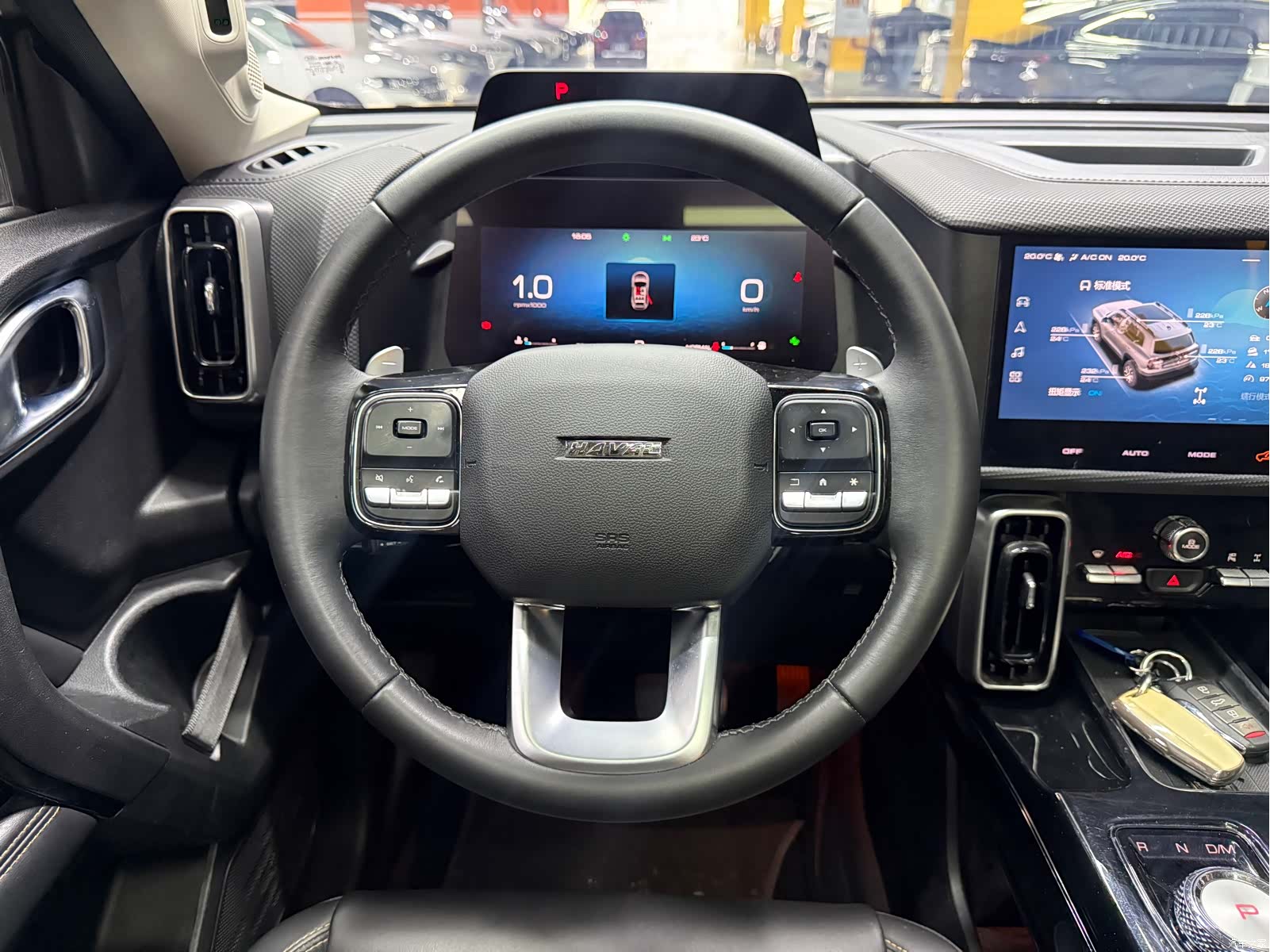 Haval Big Dog, 2023 13