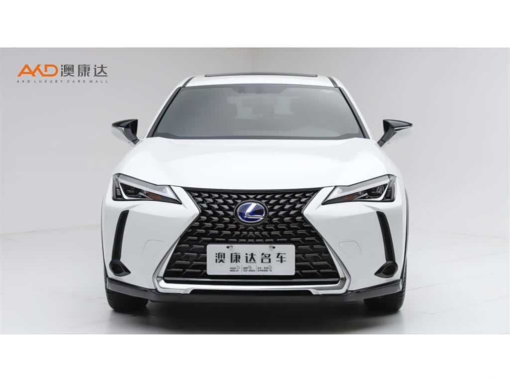 Lexus UX, 2019 2