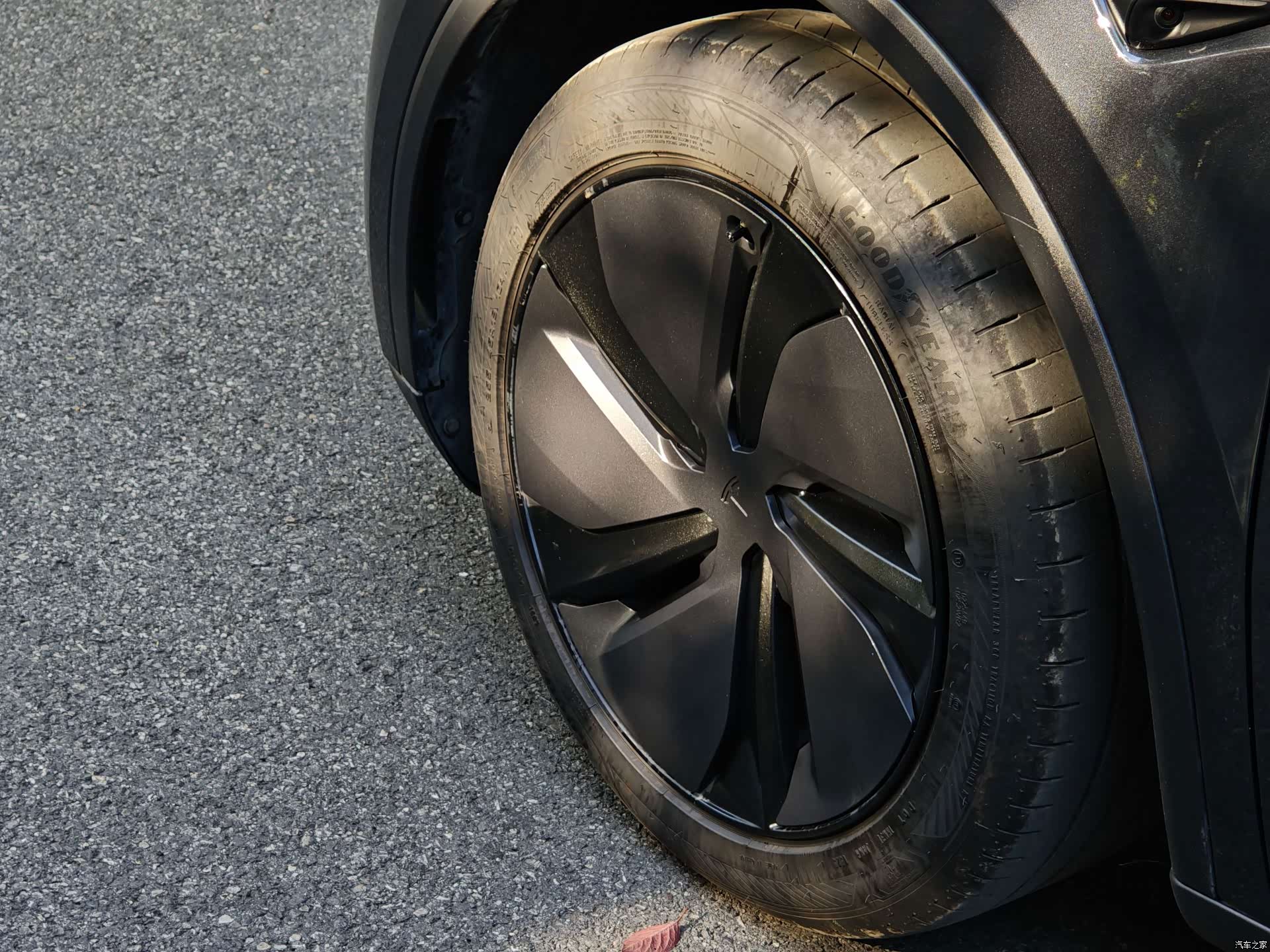 Tesla Model Y, 2025 15