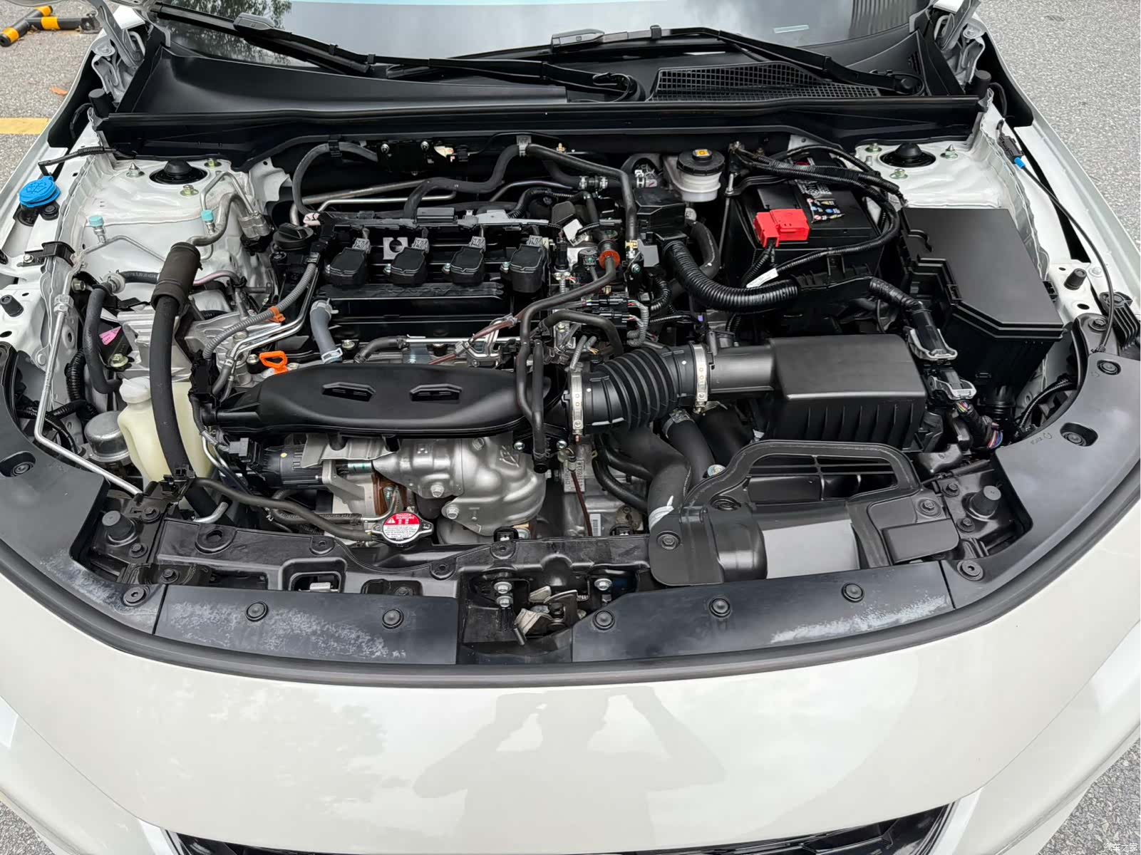 Honda Integra, 2024 25