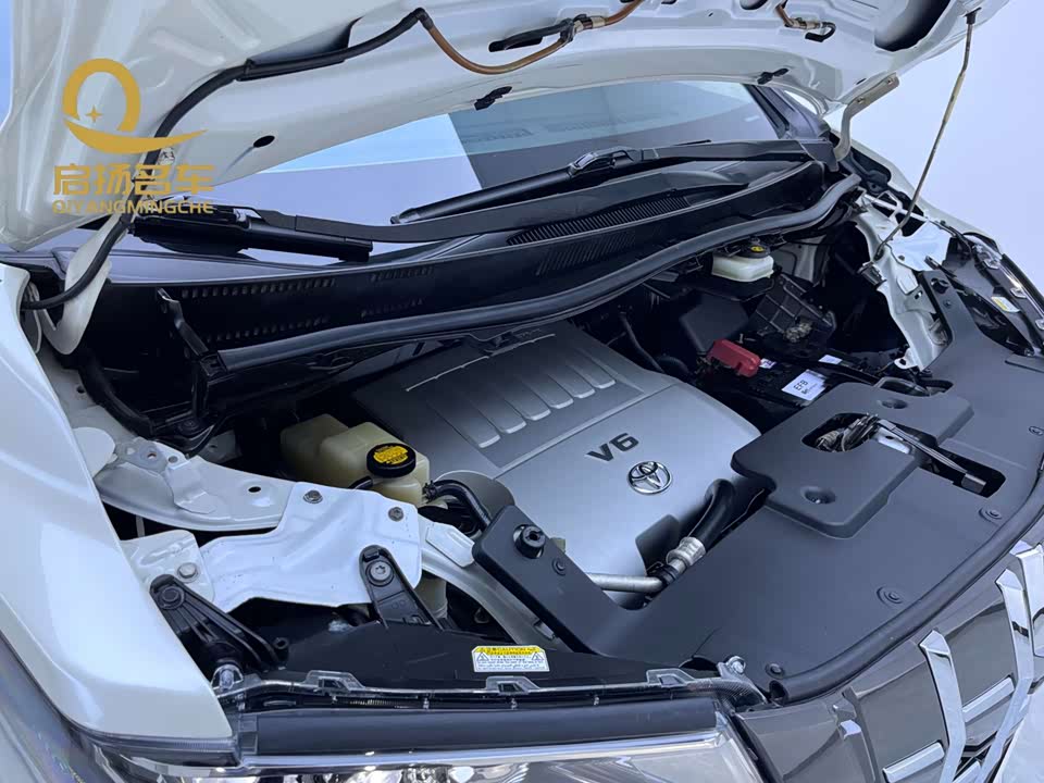 Toyota Elfa