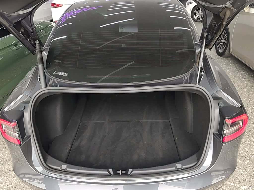 Tesla Model 3, 2021 19