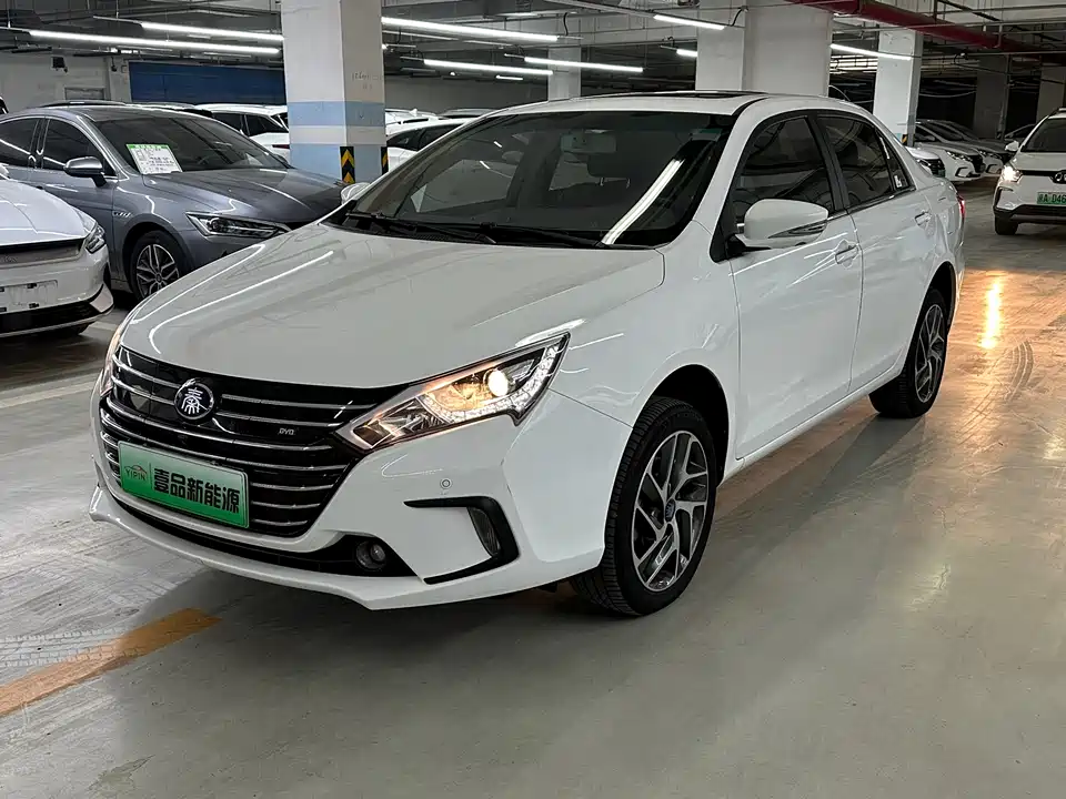 BYD Qinxin Energy