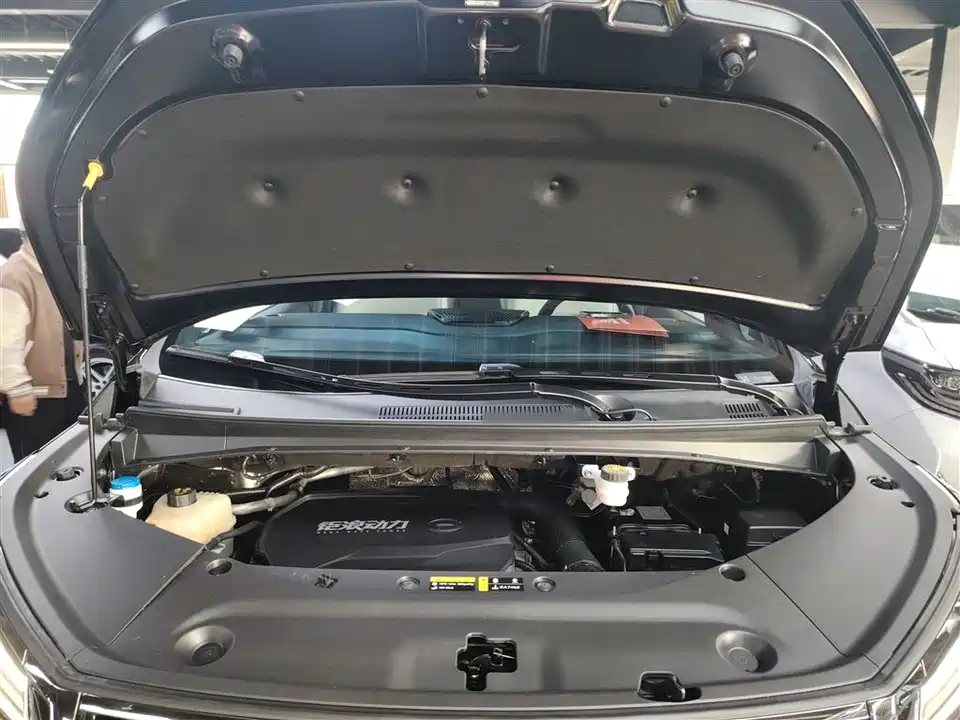 Trumpchi Trumpchi M8