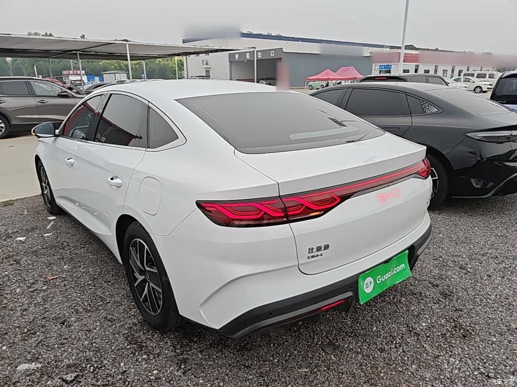 BYD Qin, 2025 все фото