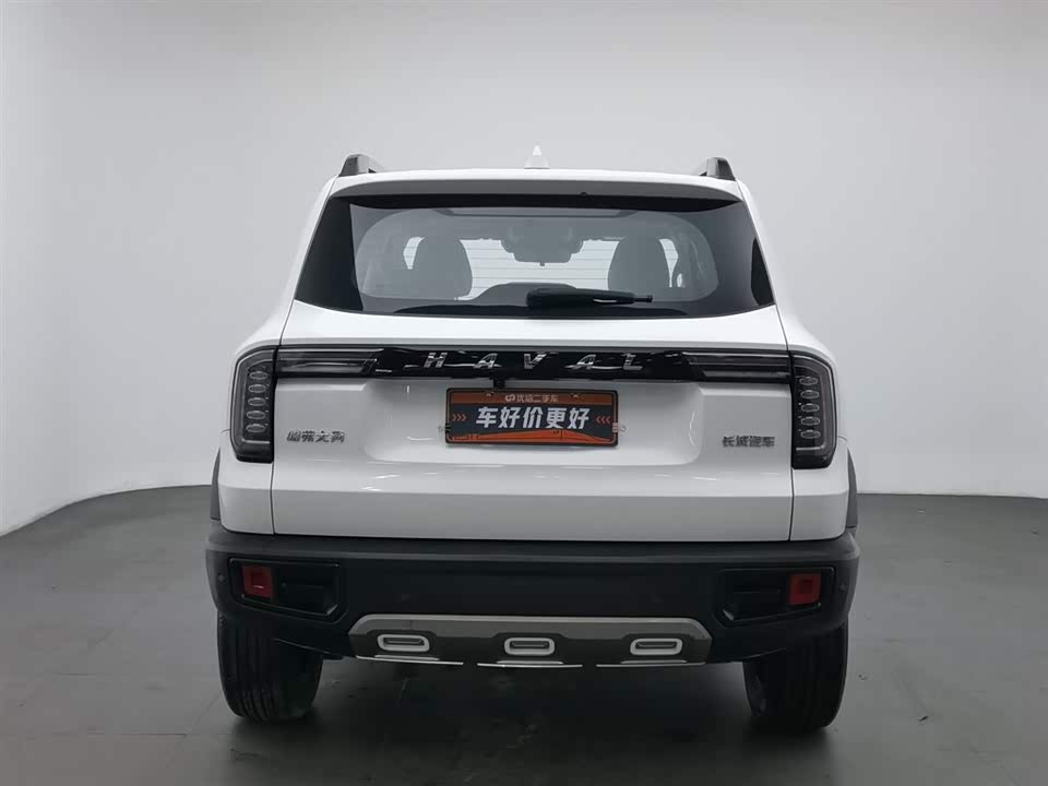Haval Big dog