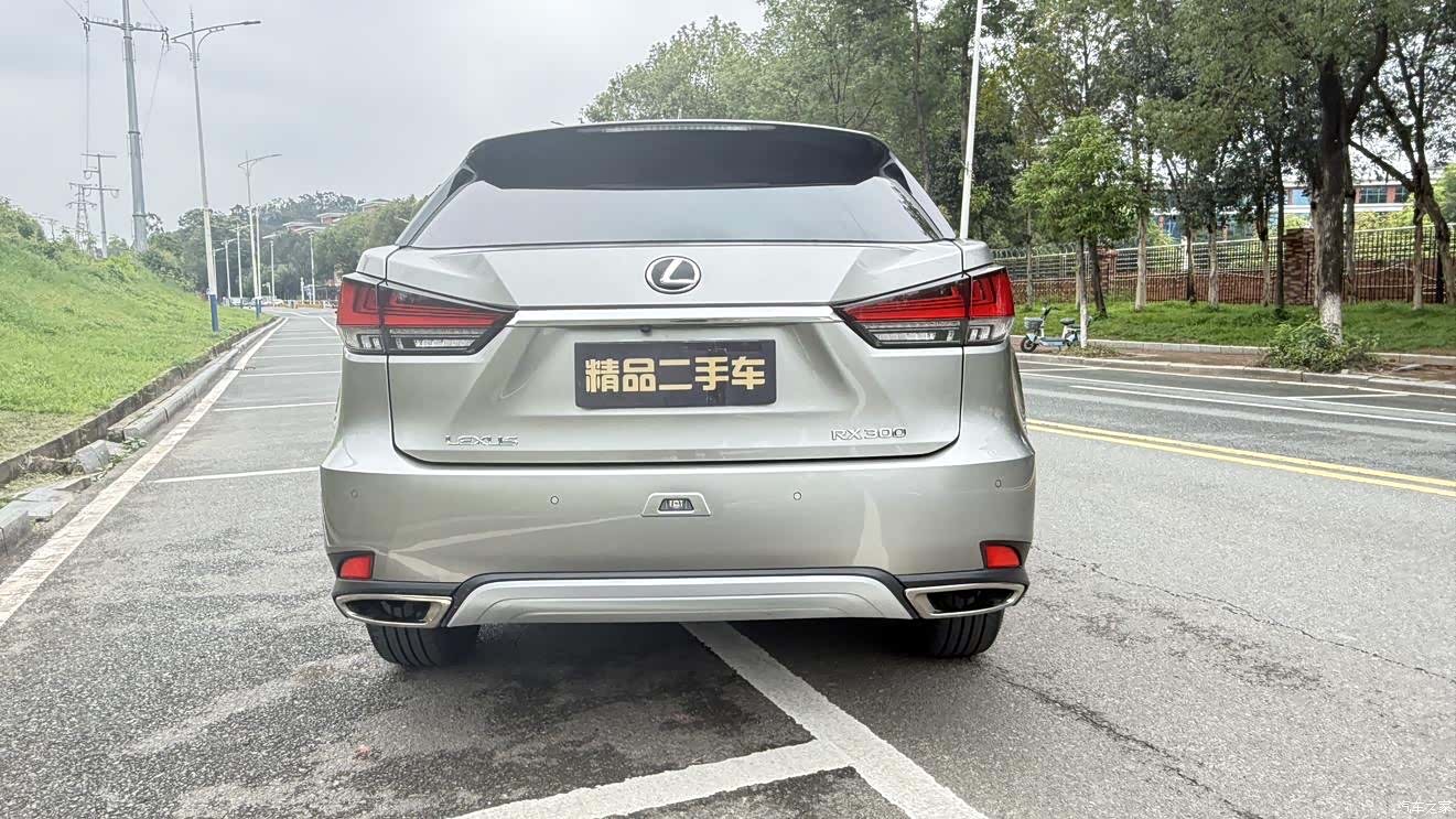 Lexus RX, 2020 все фото