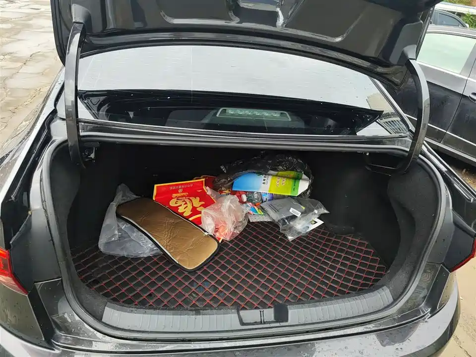 Volkswagen Sagitar