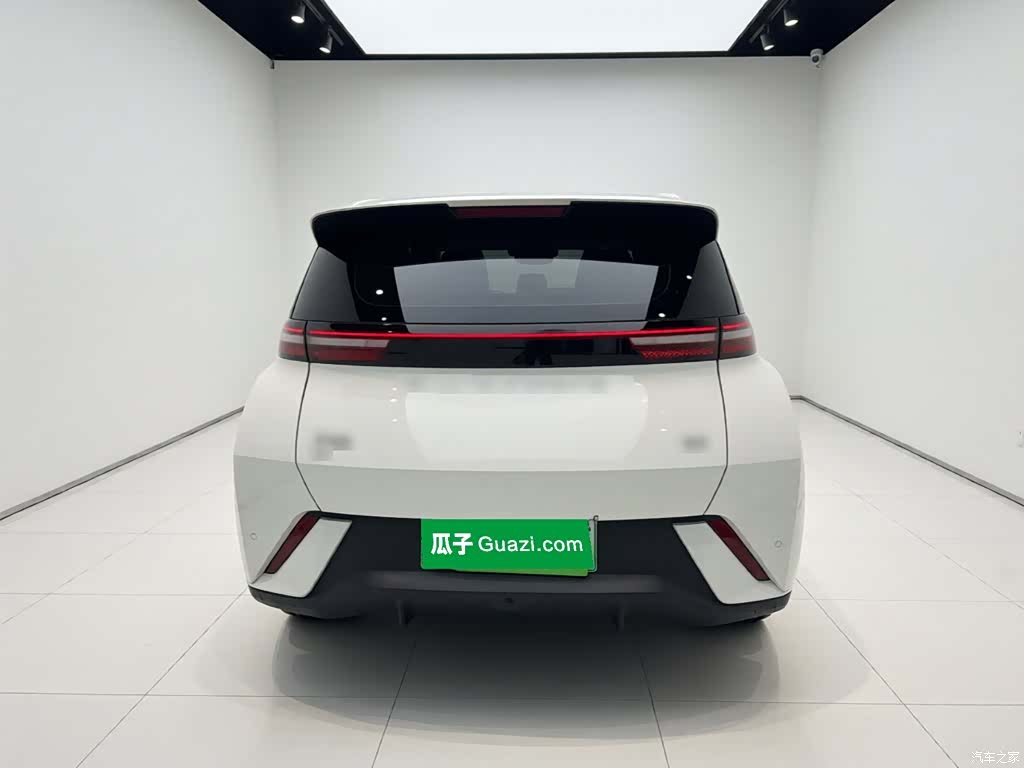 BYD Seagull, 2023 6