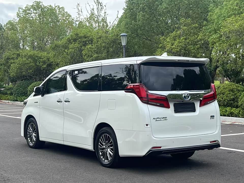 Toyota Elfa