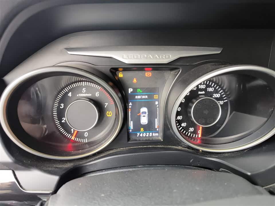 Leopaard Cheetah CS10