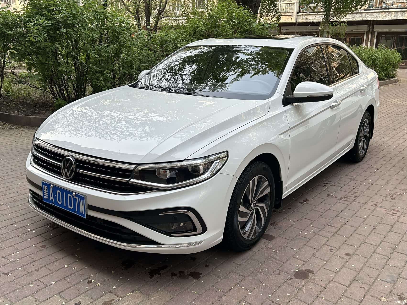 Volkswagen Bora, 2023 1