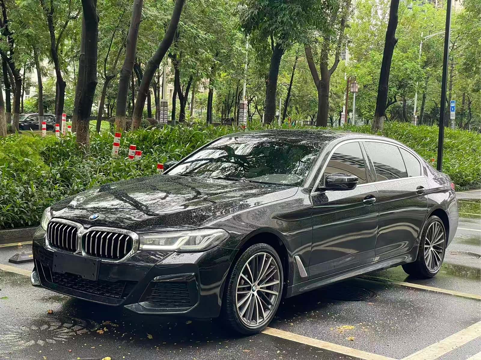 BMW 5 Series, 2023 2