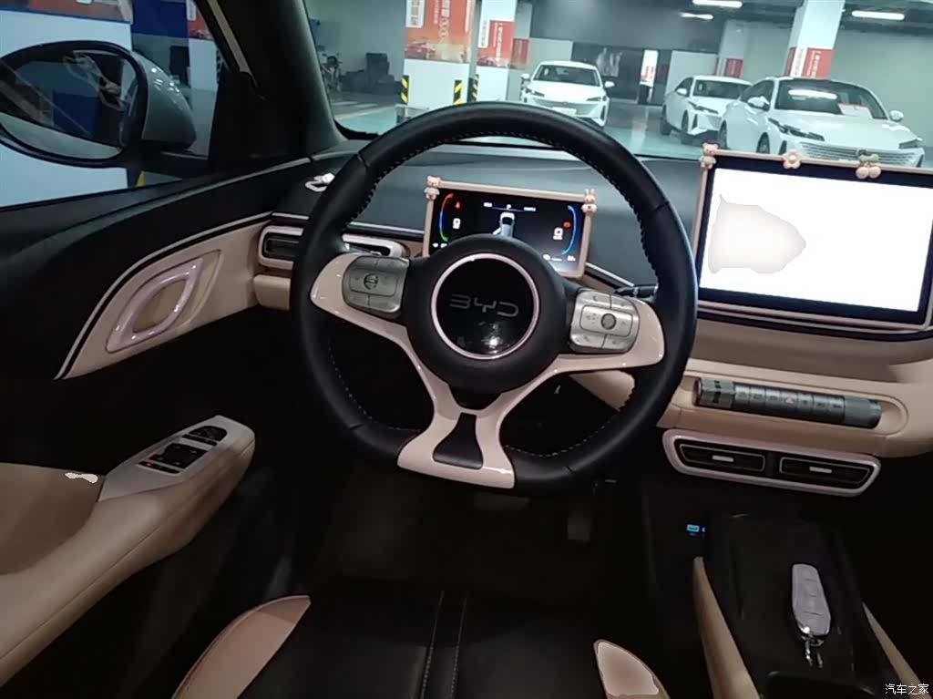 BYD Seagull, 2024 11