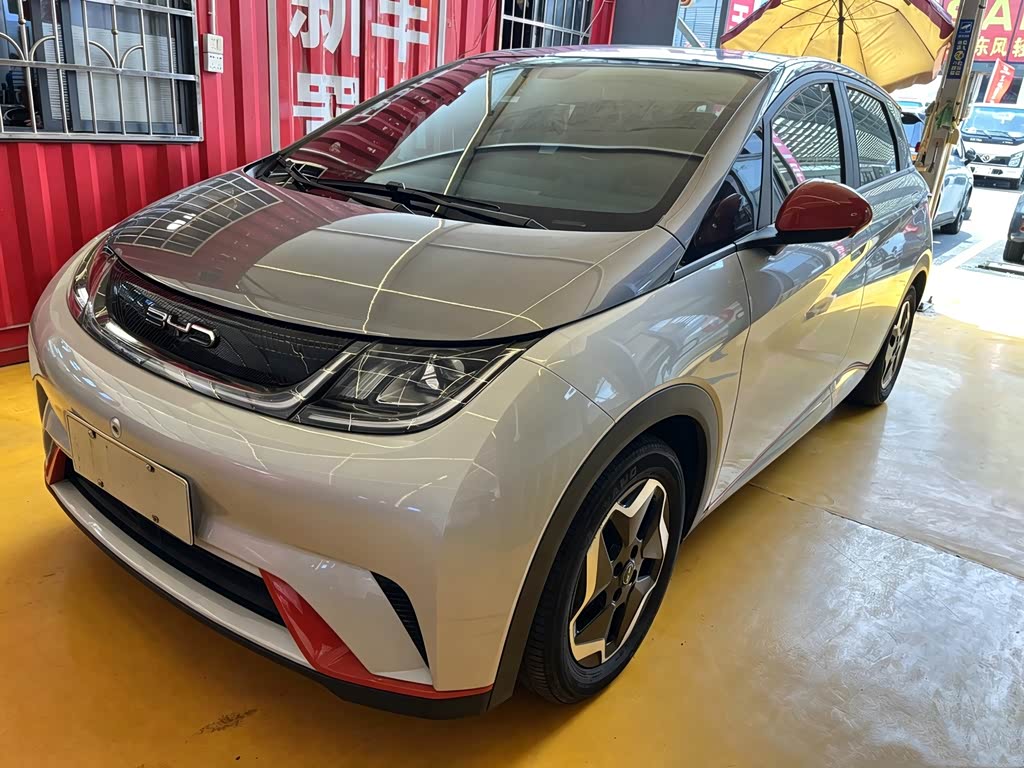 BYD Dolphin 2021 405km Fashion