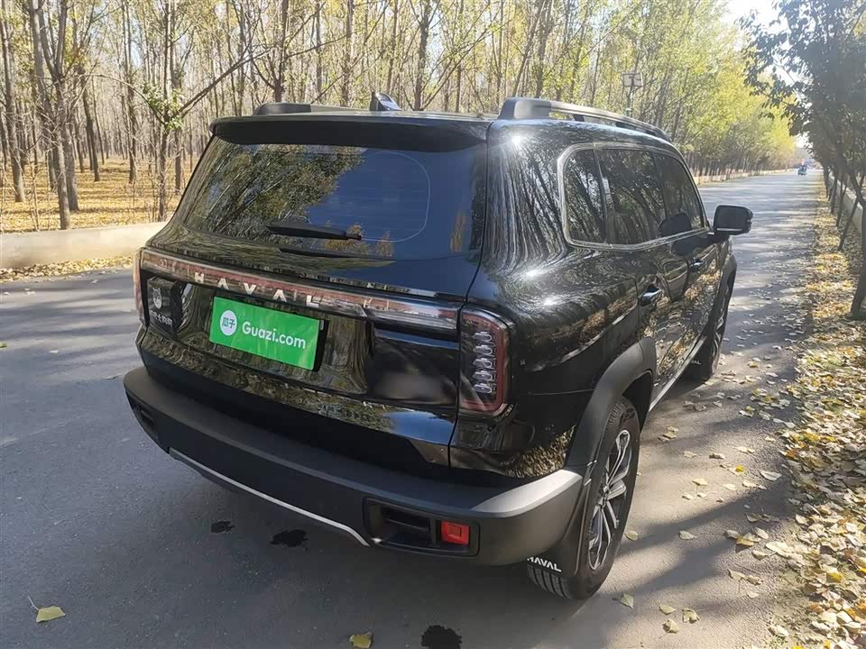 Haval Big dog