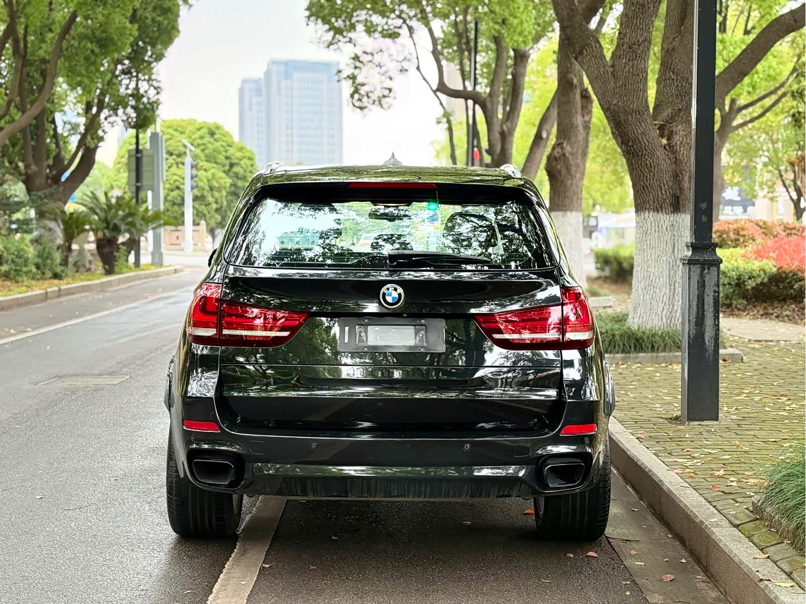 BMW X5, 2017 9