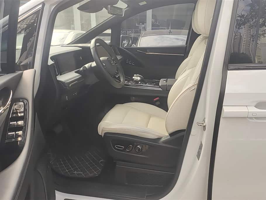 Trumpchi Trumpchi E9