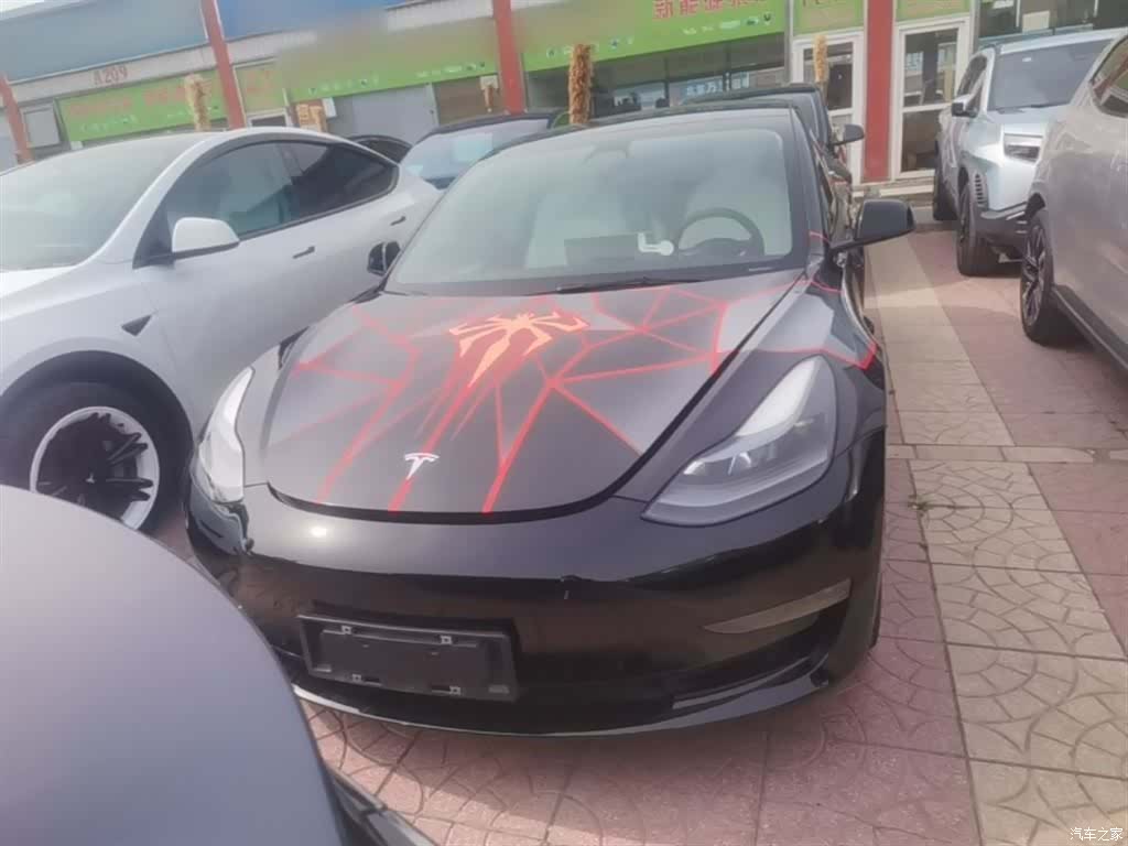 Tesla Model 3, 2021 3