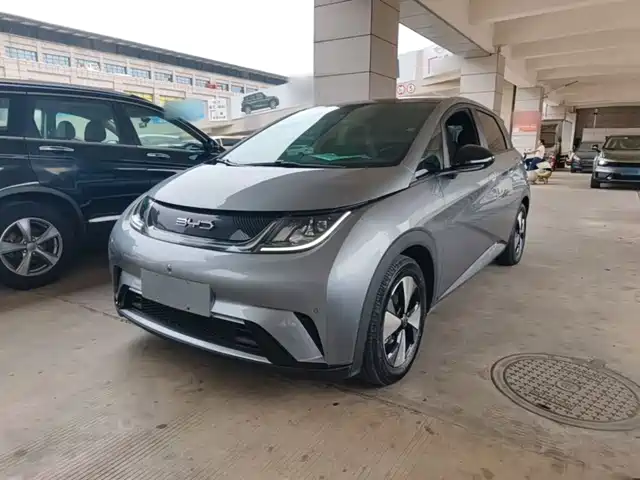 BYD Dolphin 2023 — купить из Китая под заказ