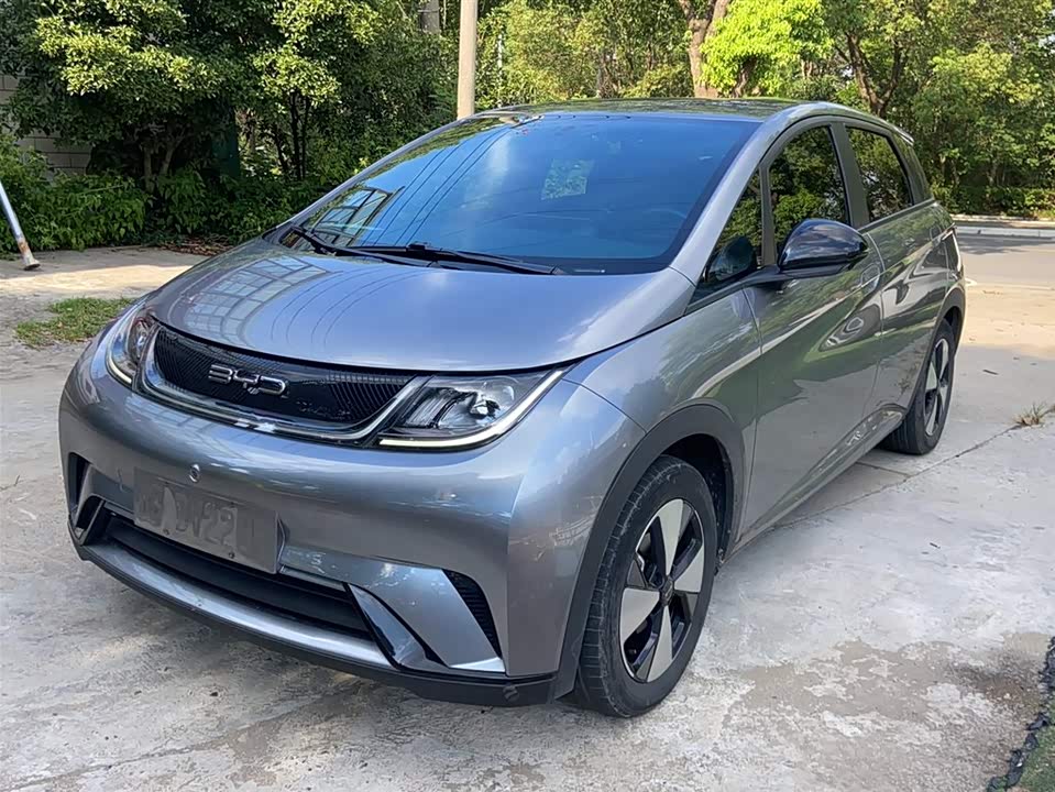 BYD dolphin BYD dolphin