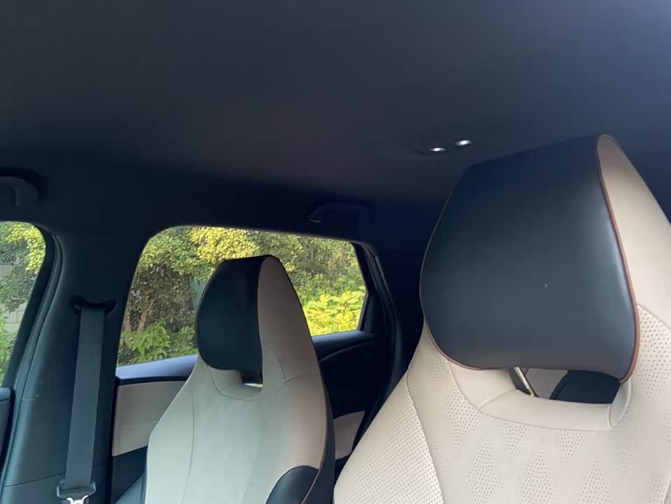 BYD dolphin BYD dolphin