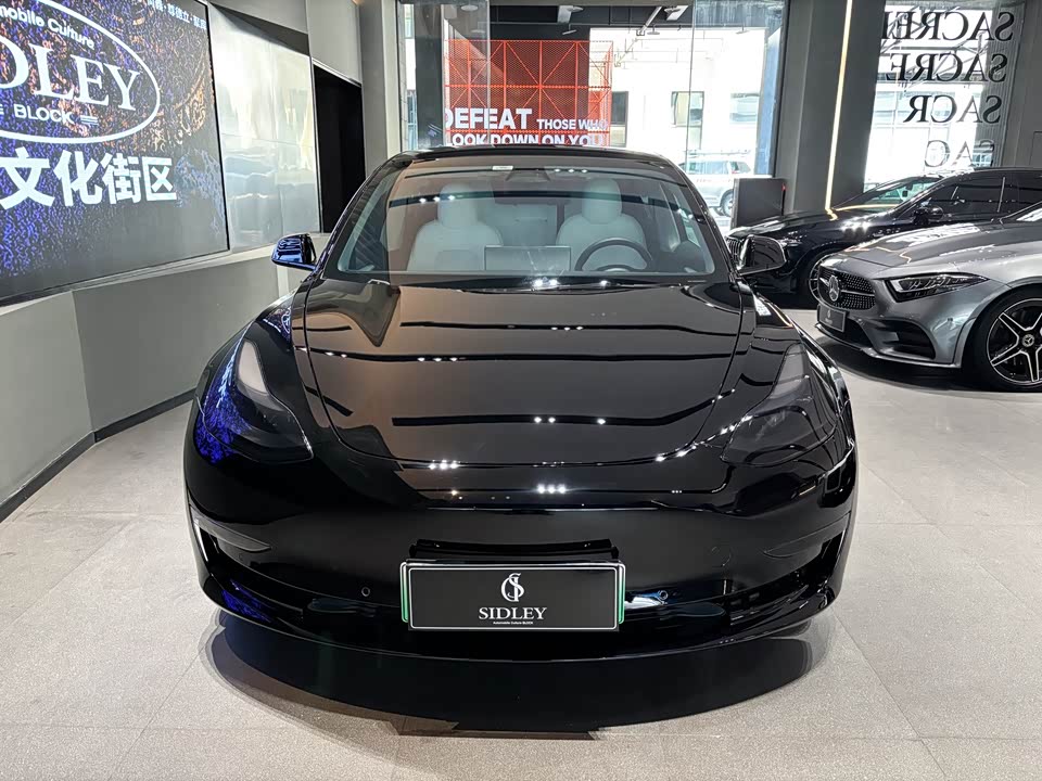 Tesla Model 3 Tesla Model 3
