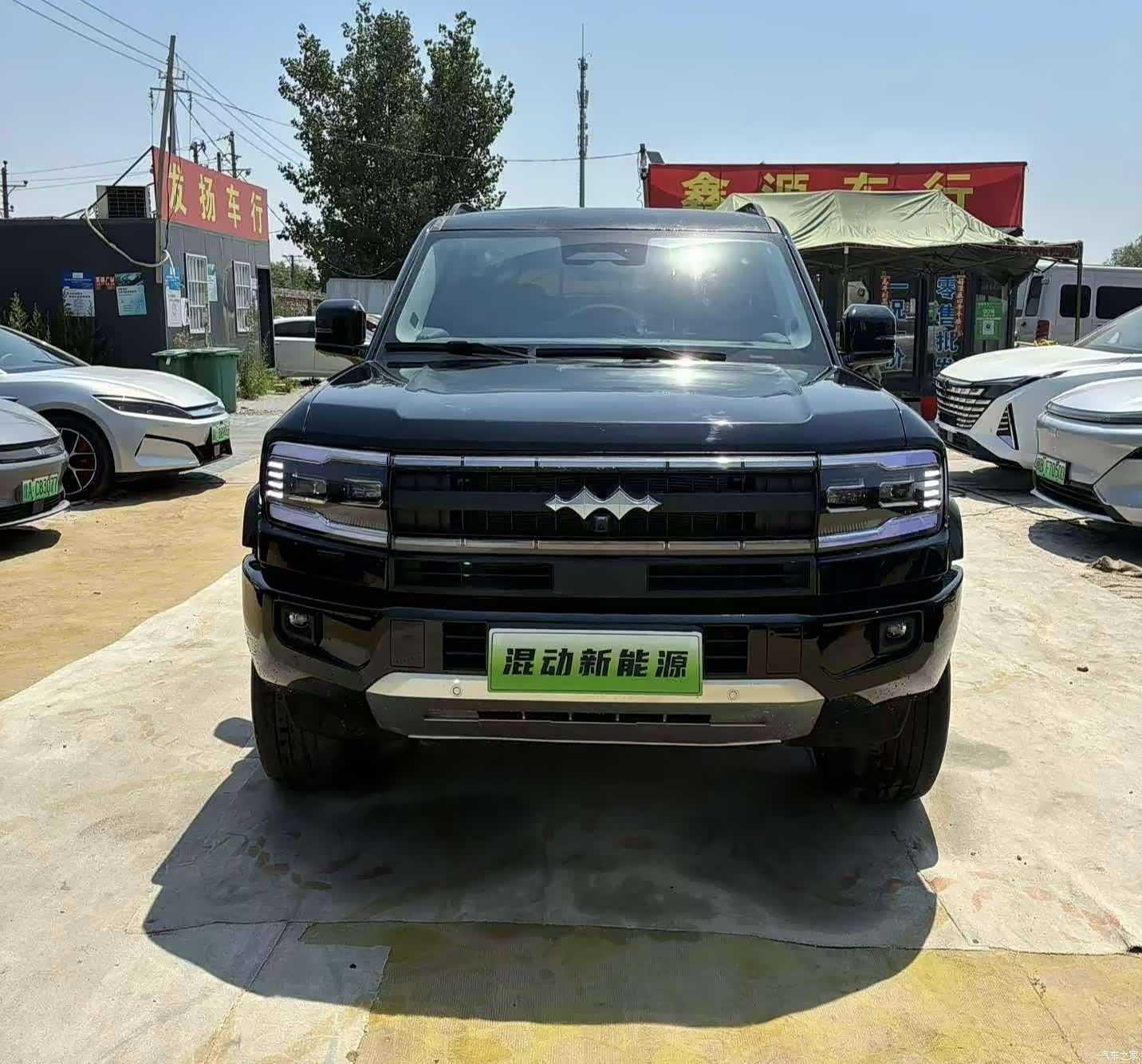 Fang Cheng Bao Bao 5, 2025 2