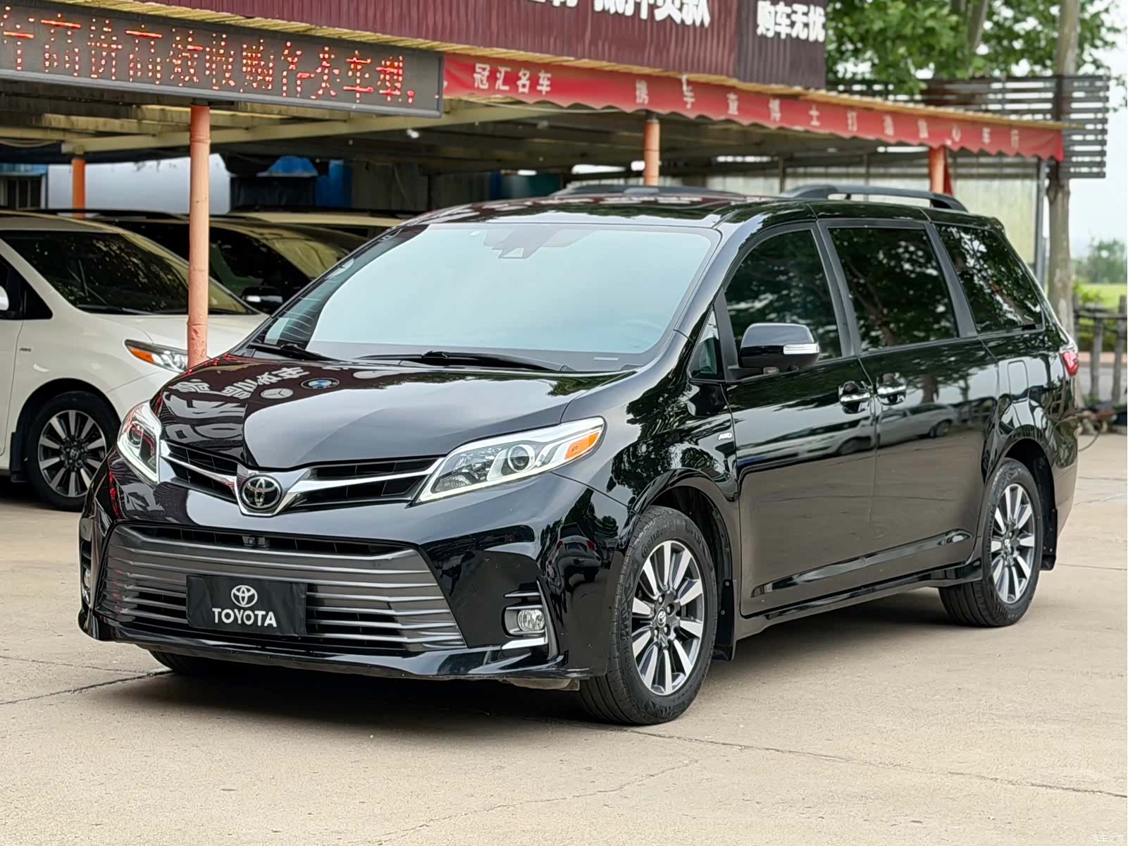 SIENNA LTD