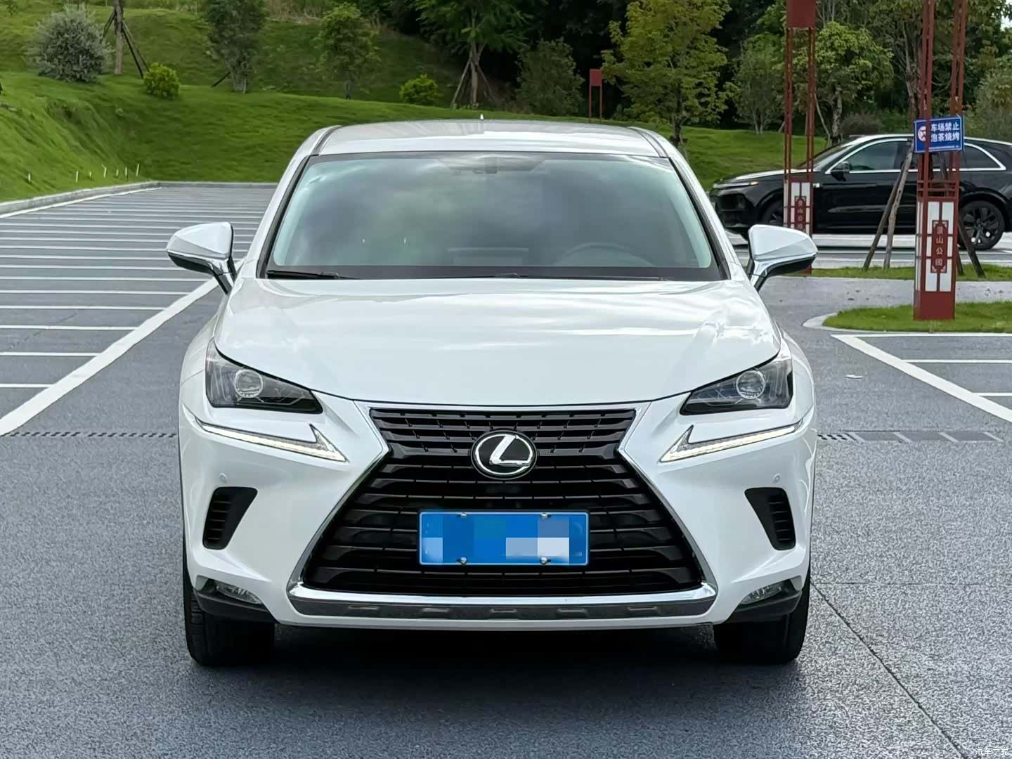 Lexus NX, 2019 2