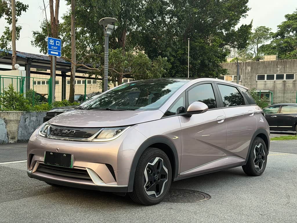 BYD Dolphin