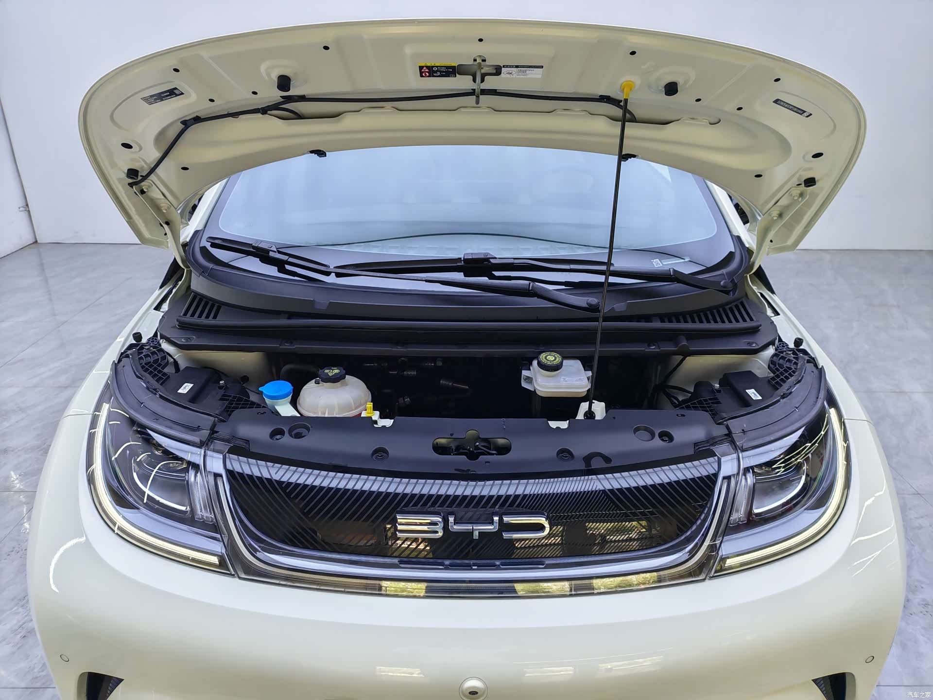 BYD Dolphin, 2024 12